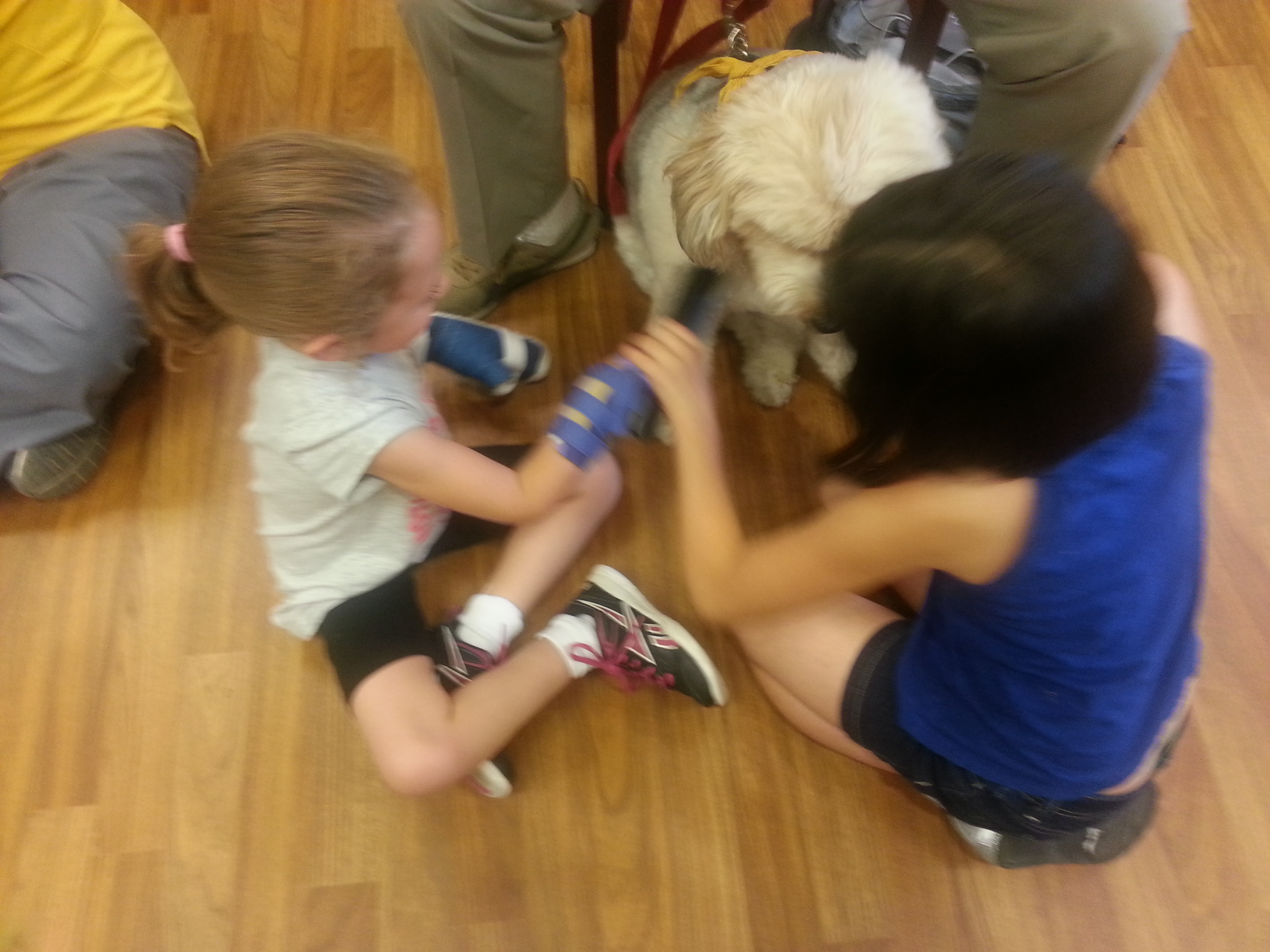 RMHCA guest children play with Hand in Paw dog