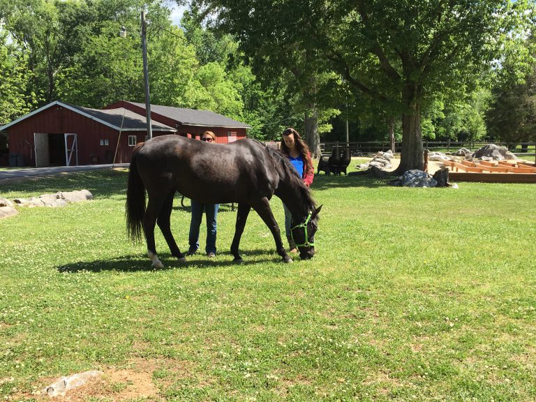 Two girls stand with a horse