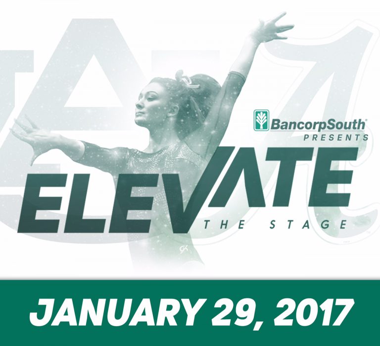 Elevate the Stage logo