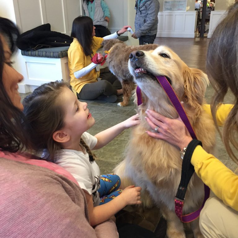 LJ pets Mika the dog with Hand in Paw
