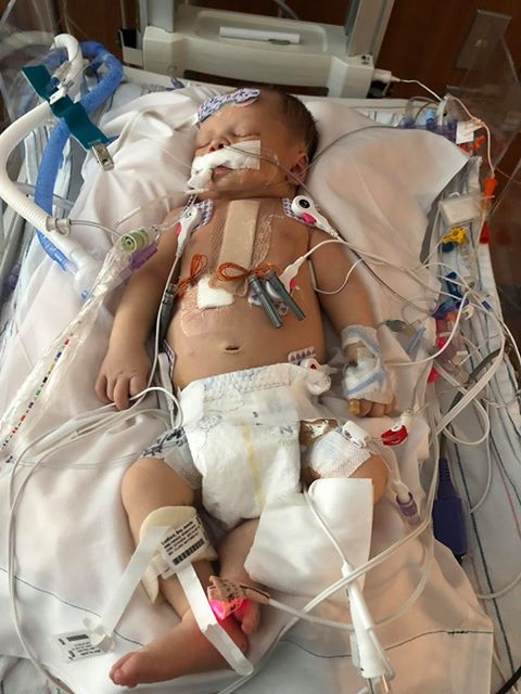 Braxton after surgery