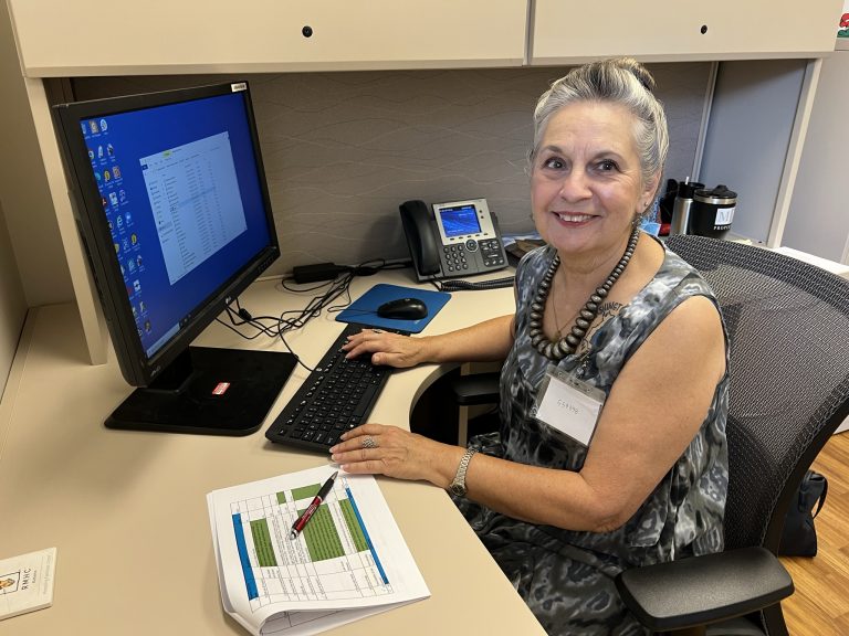 A caucasian woman sits at a computer desk. She has her hair pinned up in a bun.